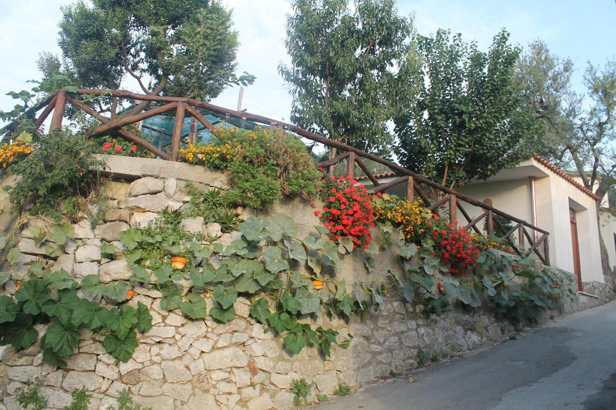 Casa Vacanze Chery Соренто Екстериор снимка